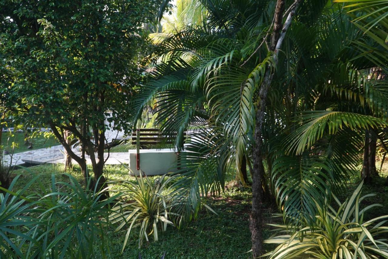 Red Coconut Villa Bentota Kültér fotó