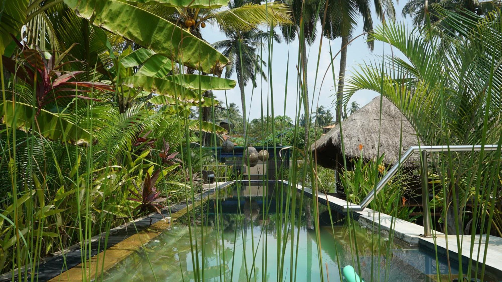 Red Coconut Villa Bentota Kültér fotó