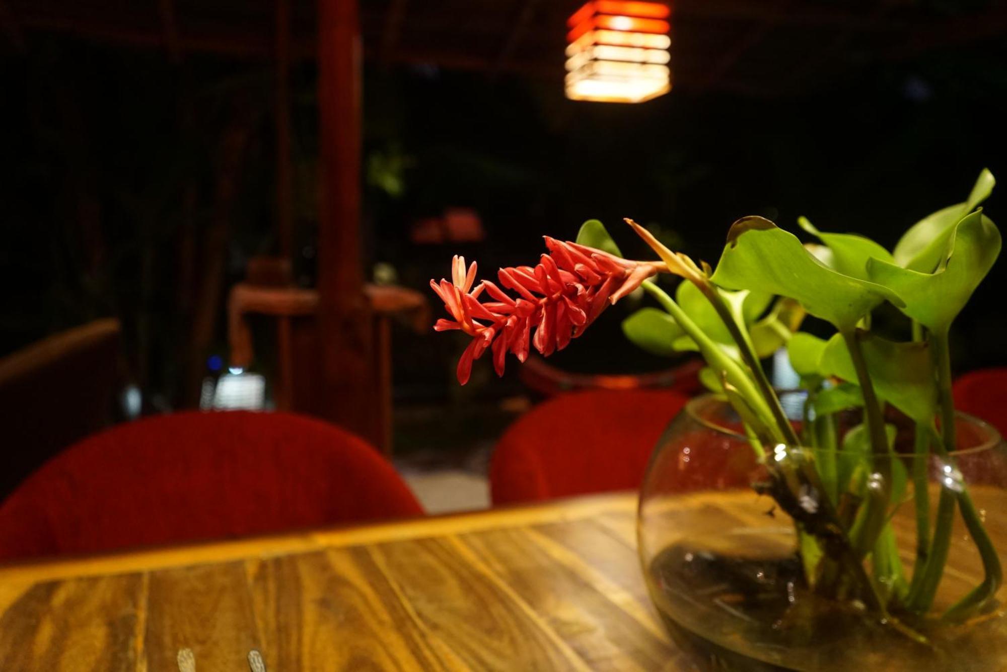 Red Coconut Villa Bentota Kültér fotó