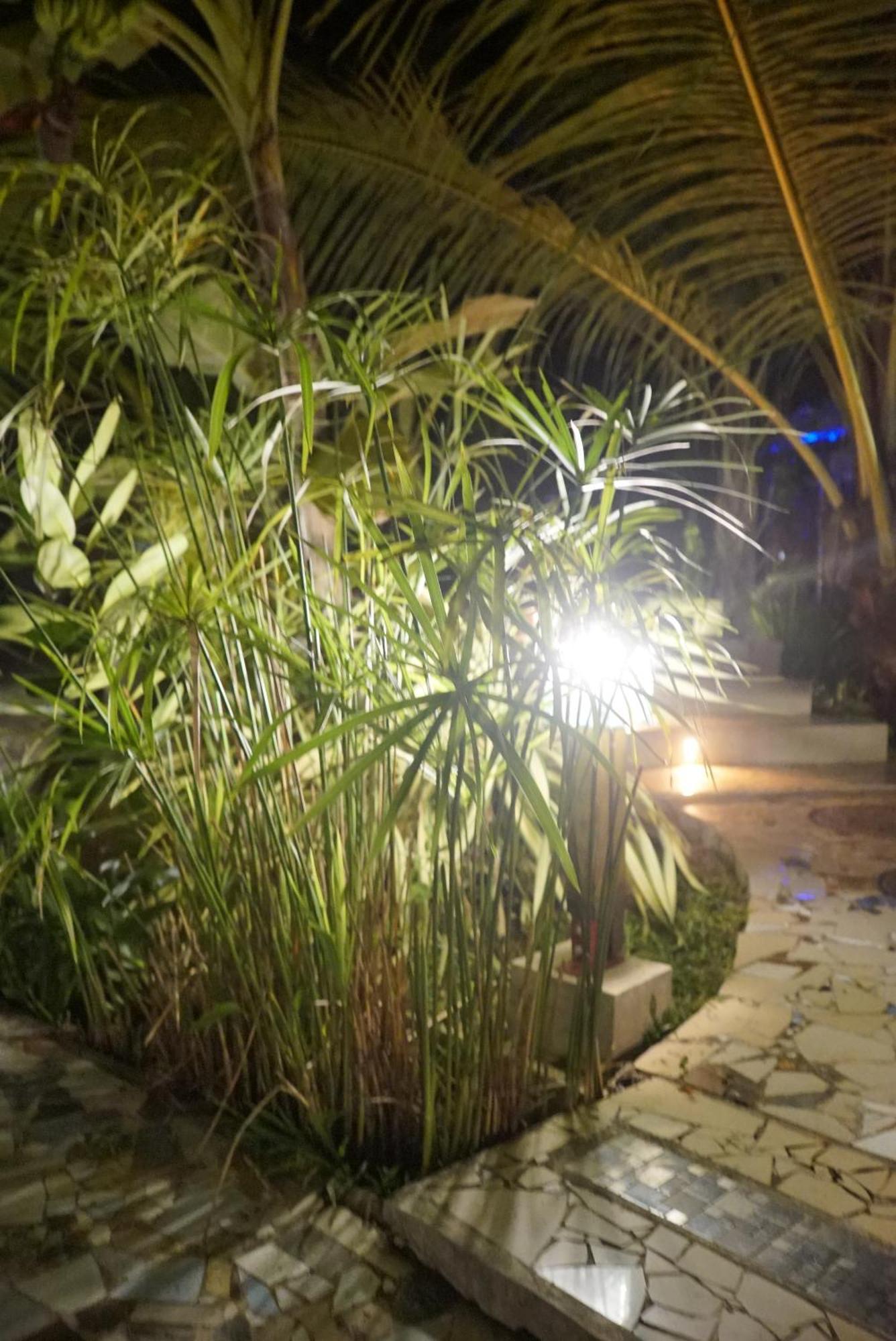 Red Coconut Villa Bentota Kültér fotó